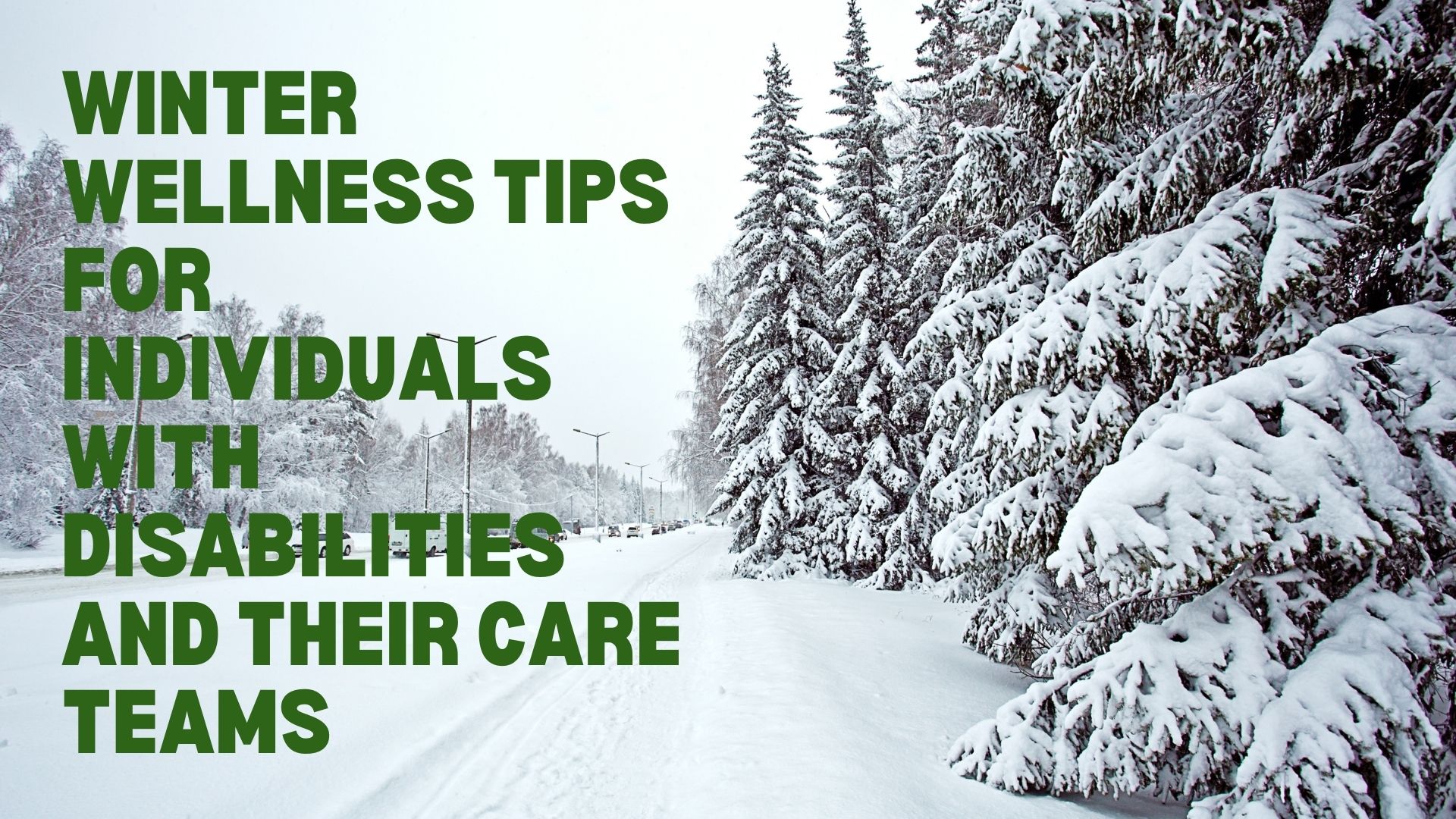 Wintry landscape photo with these words in a green font: winter wellness tips for individuals with disabilities and their care teams.