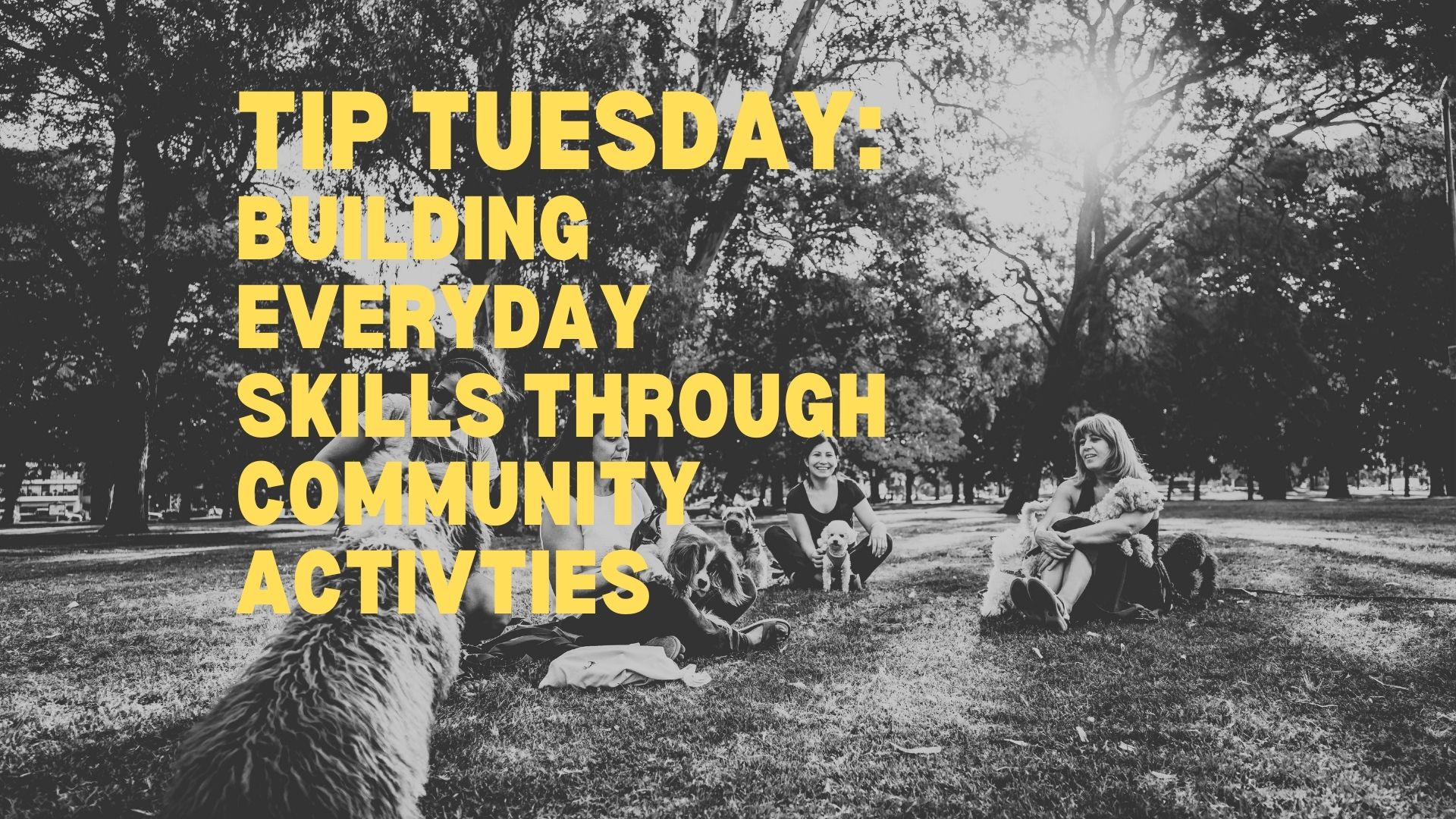 Photo of several young adults sitting in a park talking about building everyday skills, with the title of this blog post in large yellow font over it.
